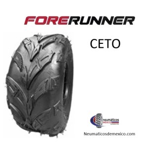 FORERUNNER CETO